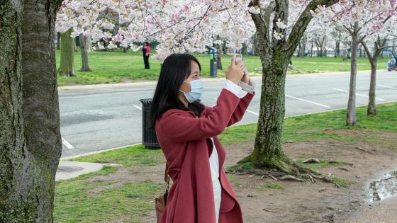 Vinculo del coronavirus y el medio ambiente Foto: Greenpeace