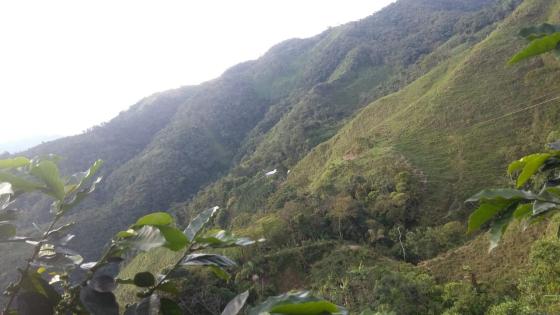 Un color más, en el libro de los sueños de los habitantes del Congal ...