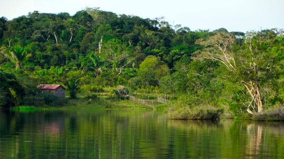 extracción de hidrocarburos en la Amazonía extracción de hidrocarburos en la Amazonía