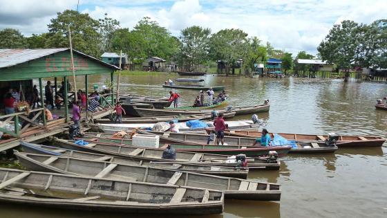 Amazonas