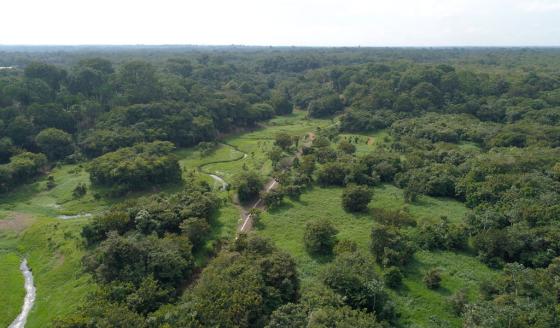 Amazonas Amazonas