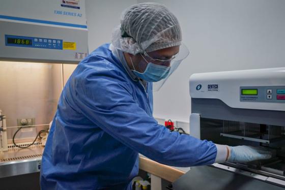 Consulte en línea los resultados de las pruebas de coronavirus hechas en Bogotá
