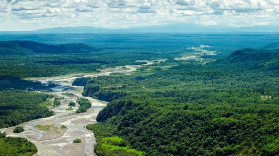 Artistas harán evento mundial para recaudar fondos para enfrentar el covid-19 en Amazonía