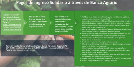 ingreso solidario