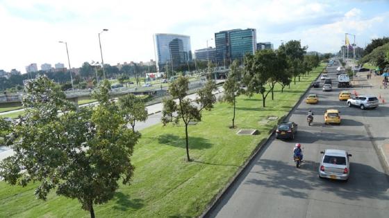 La Alcaldía de Bogotá anunció que Bogotá plantará 800.000 árboles La Alcaldía de Bogotá anunció que Bogotá plantará 800.000 árboles