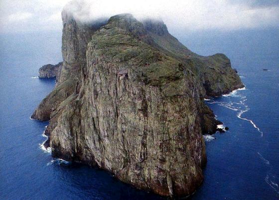 malpelo malpelo