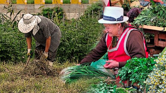 Día del campesino en Colombia