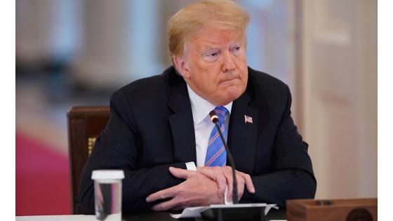 Donald trump Donald trump