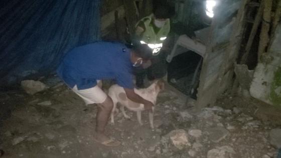 Perrita Baranoa Atlántico Perrita Baranoa Atlántico