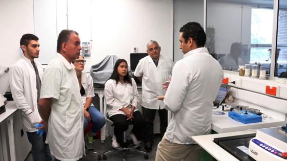 sena convocatoria sena convocatoria