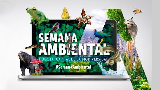 semana ambiental