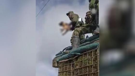 Cargos a soldados del Ejército por la muerte de una perrita en Nariño Cargos a soldados del Ejército por la muerte de una perrita en Nariño