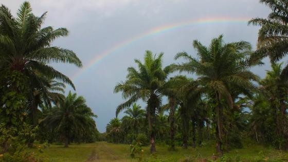 Responsabilidad ambiental: una categoría fundamental en el Premio Nacional de Periodismo Digital