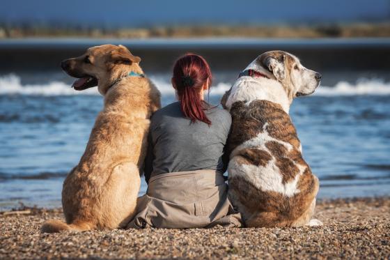 Relación con mascotas