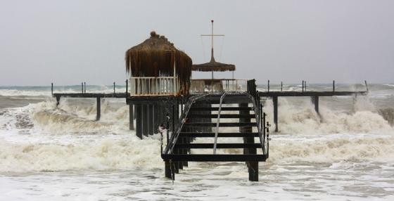 Países en alerta de tsunami tras sismo en México Países en alerta de tsunami tras sismo en México