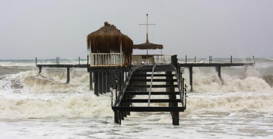 Países en alerta de tsunami tras sismo en México