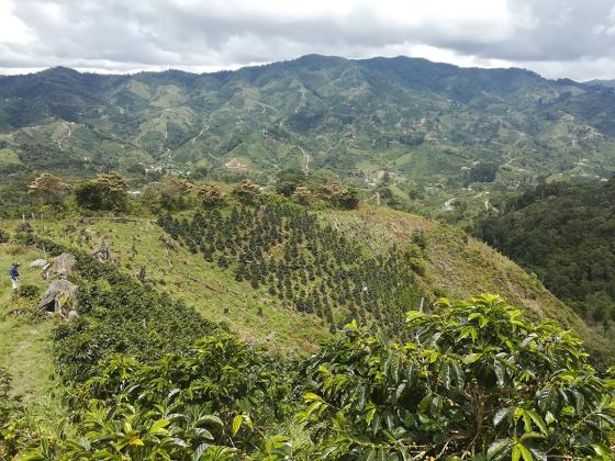 ONU Colombia