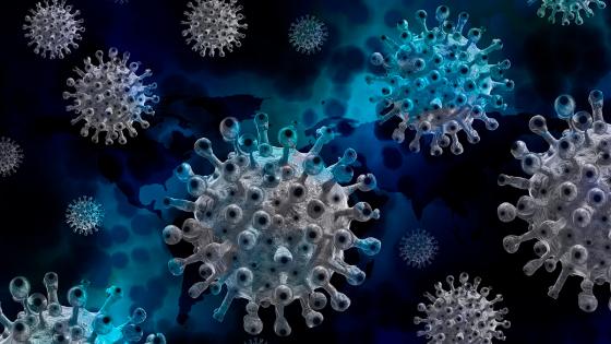 coronavirus coronavirus