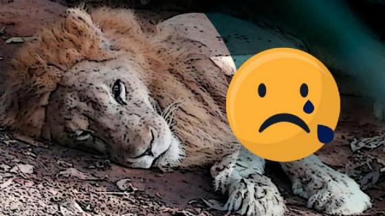 León Júpiter, revelan la verdadera causa de su muerte