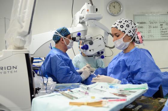 sena y colombia productiva