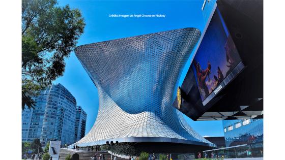 Museos Museos