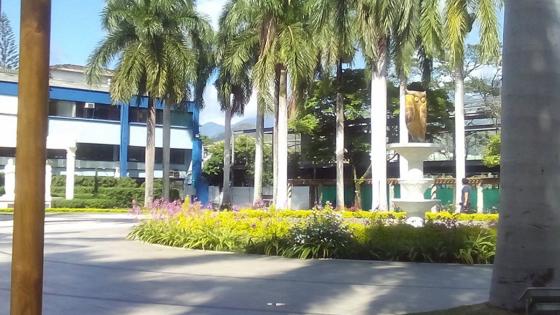 Universidad de Cali