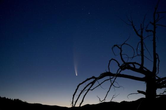 Cometa Neowise Cometa Neowise