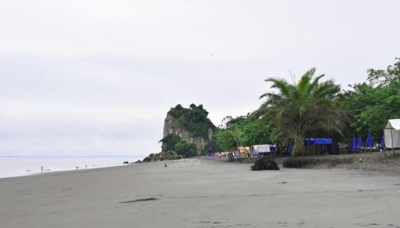 nueva esperanza del Pacífico nueva esperanza del Pacífico