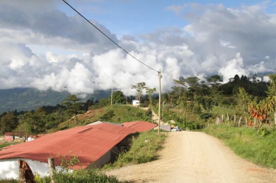 excombatientes de las Farc