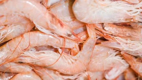 Camarones Camarones