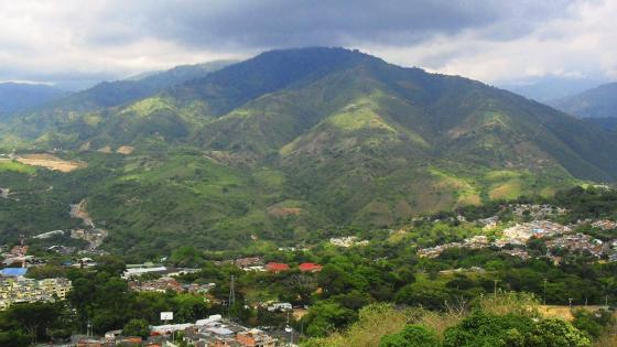 Autoridades recuperan cerros orientales de Bucaramanga tras invasión ilegal 