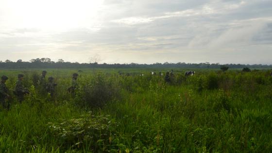 enfrentamientos campesinos vista hermosa, meta