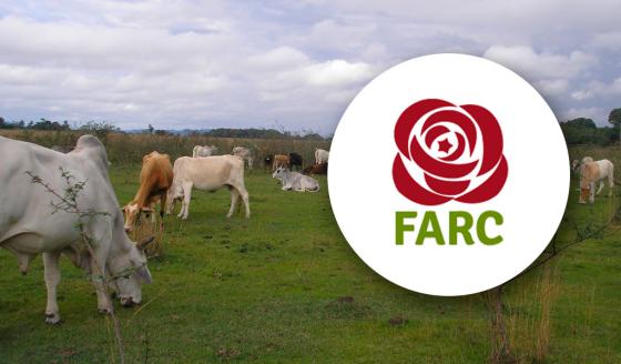 Farc Farc