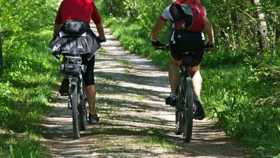 Asesisan a ciclista 