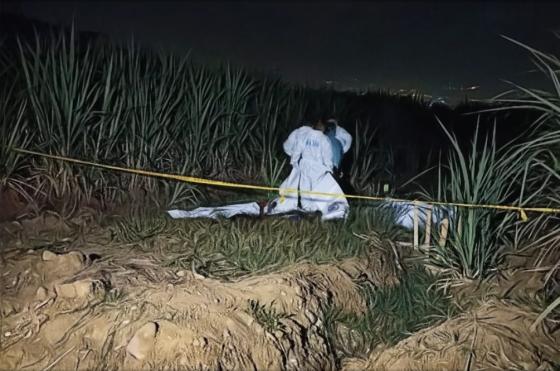 Detalles de la masacre en Llano Verde, Cali Detalles de la masacre en Llano Verde, Cali