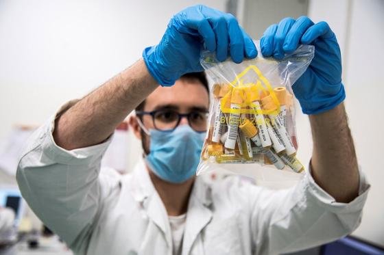 ensayos en humanos ensayos en humanos