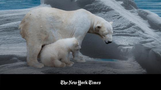 alt cambio climático