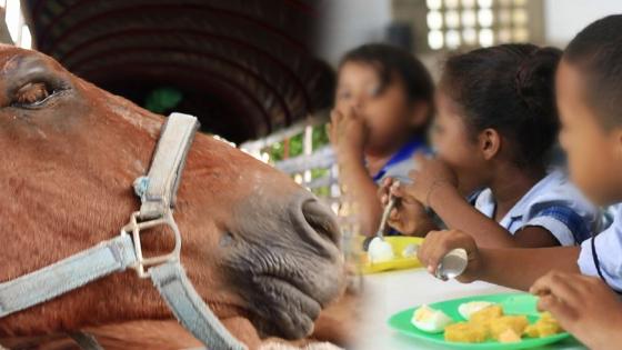 Hombre que vendía carne de burro y caballo a colegios irá a la cárcel