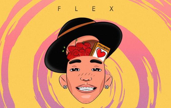 Me tienes de cabeza, nueva canción de Nigga/Flex