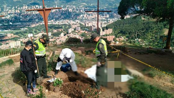 Tres Cruces Medellín 43 gatos Tres Cruces Medellín 43 gatos