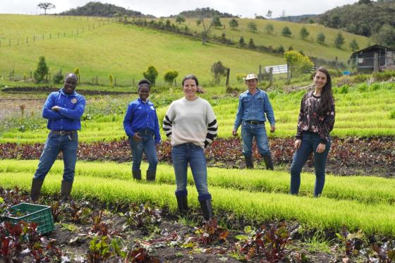 ‘superalimentos orgánicos’ pulverizados ‘superalimentos orgánicos’ pulverizados