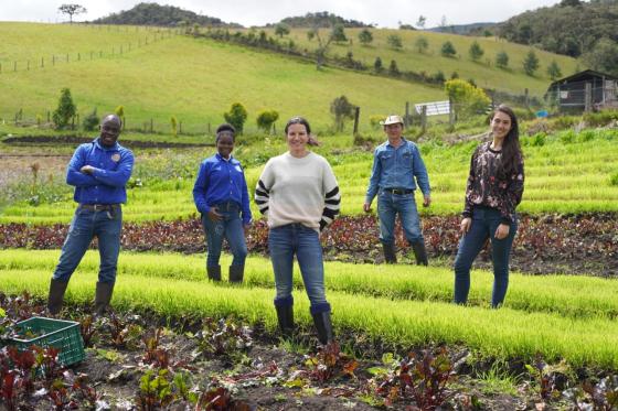 ‘superalimentos orgánicos’ pulverizados