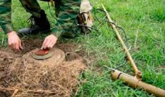 Farc retuvieron a brigada de desminado humanitario Farc retuvieron a brigada de desminado humanitario