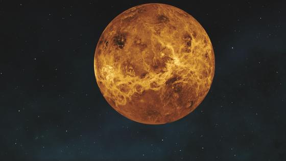Venus Venus