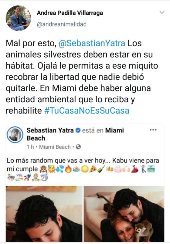 Críticas a Sebastián Yatra por Kabu, su mono ardilla
