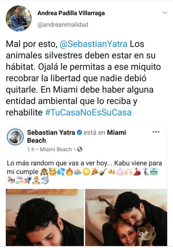 Críticas a Sebastián Yatra por Kabu, su mono ardilla Críticas a Sebastián Yatra por Kabu, su mono ardilla