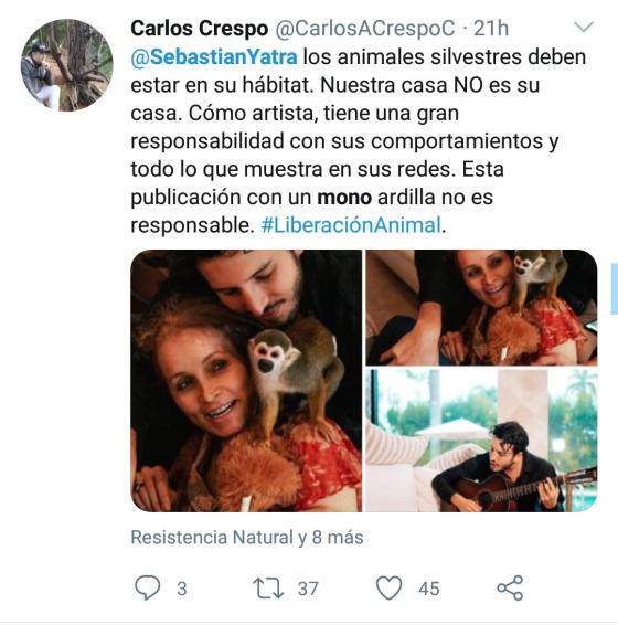 Críticas a Sebastián Yatra por Kabu, su mono ardilla Críticas a Sebastián Yatra por Kabu, su mono ardilla
