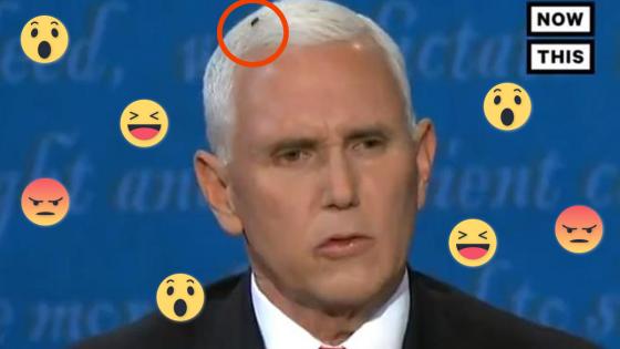 La mosca de Mike Pence