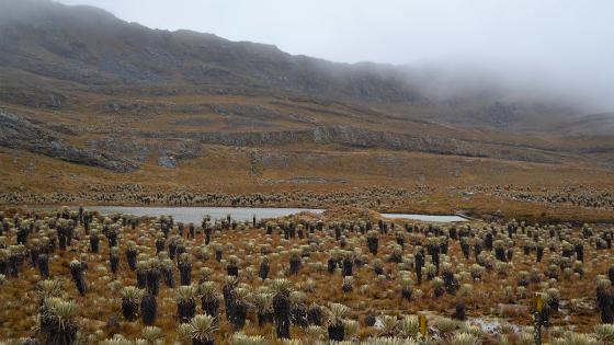 proyecto de minería en Santurbán