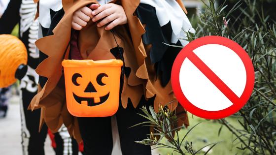 Halloween en Bogotá: sin actividades en parques de diversiones y centros comerciales Halloween en Bogotá: sin actividades en parques de diversiones y centros comerciales